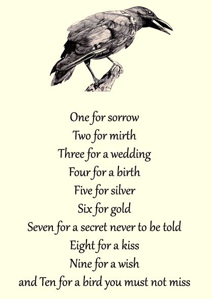 Contar cuervos canción infantil británica