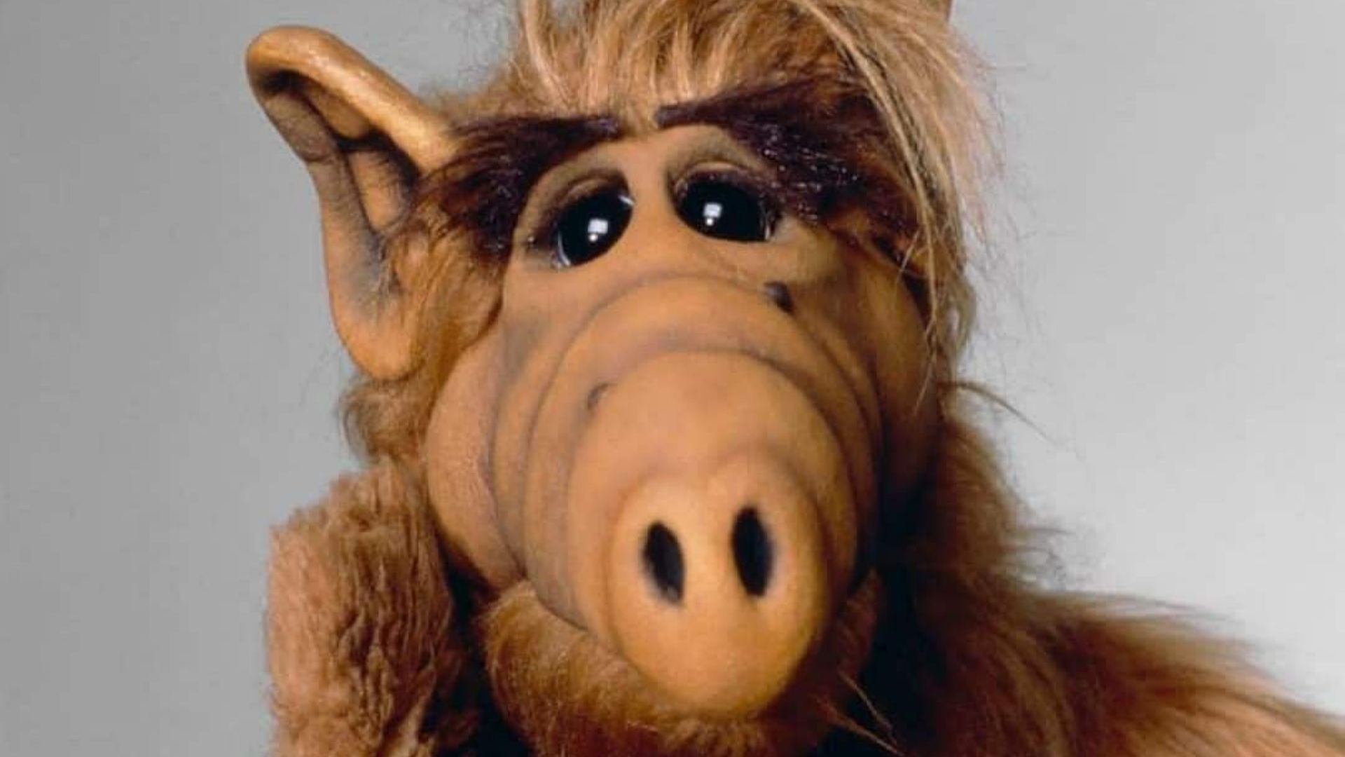 ALF, el reconocido extraterrestre de la serie homónima ochentera, llegó a la plataforma de streaming HBO Max