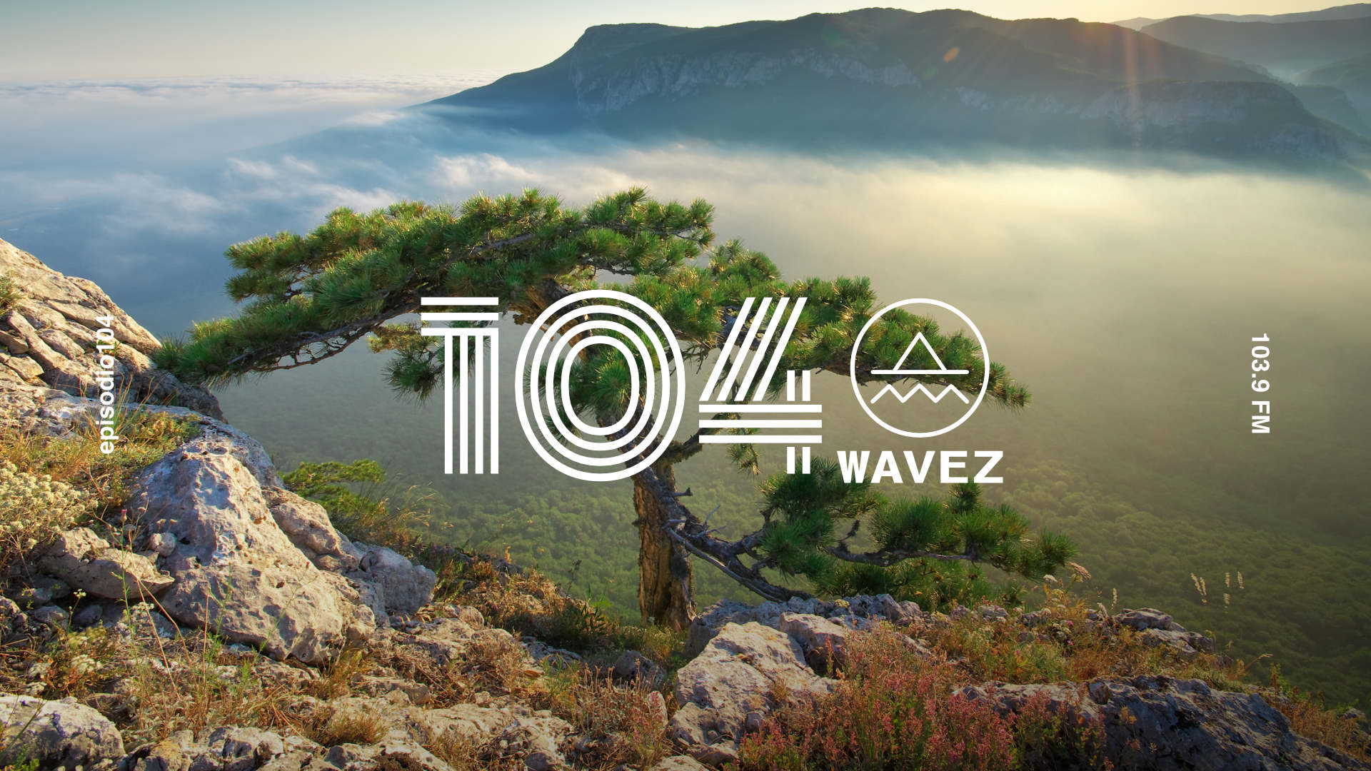 Escuche el episodio 104 de Wavez con DJ 113