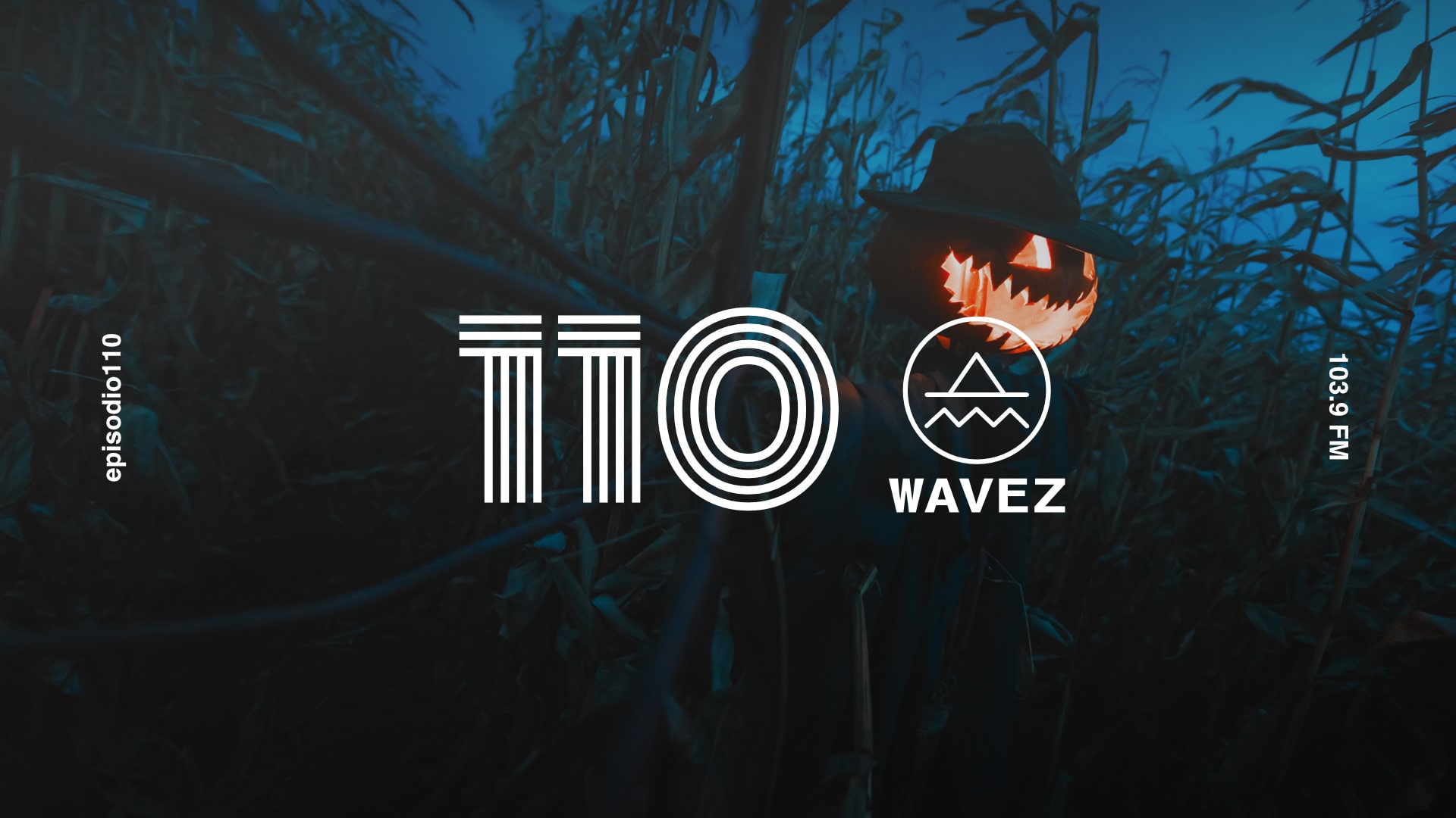 Escuche el episodio 110 de Wavez con DJ 113 Escuche el episodio 110 de Wavez con DJ 113