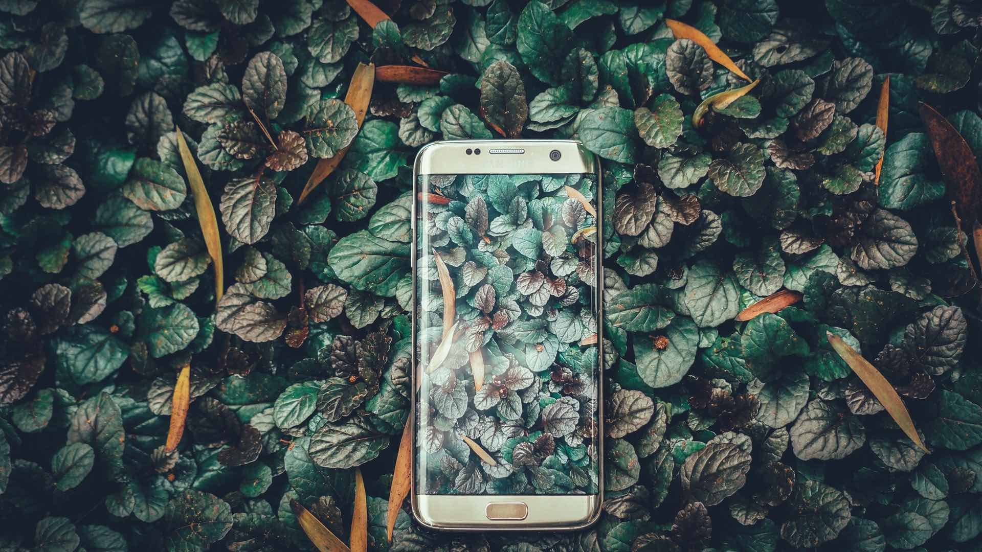 ¿Cuáles son las apps más fuertes en 2021? ¿Cuáles son las apps más fuertes en 2021?