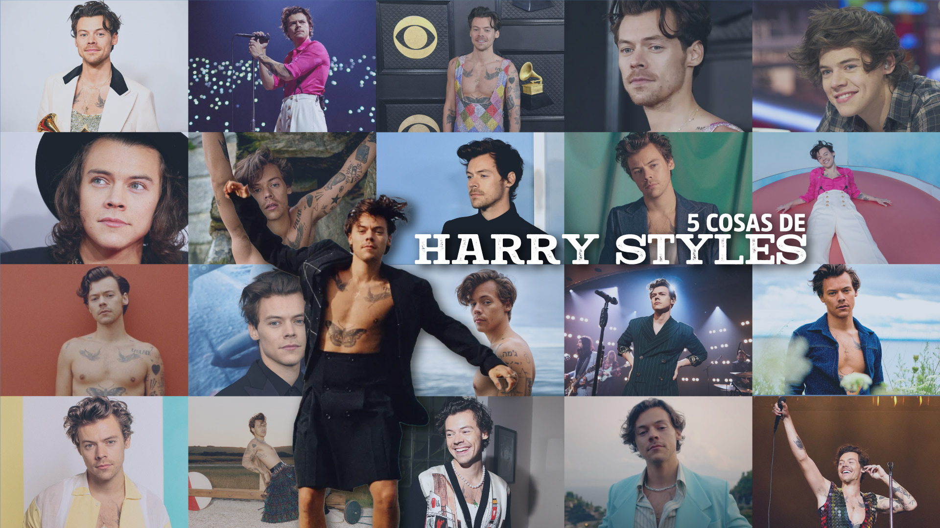5 Cosas de Harry Styles 5 Cosas de Harry Styles