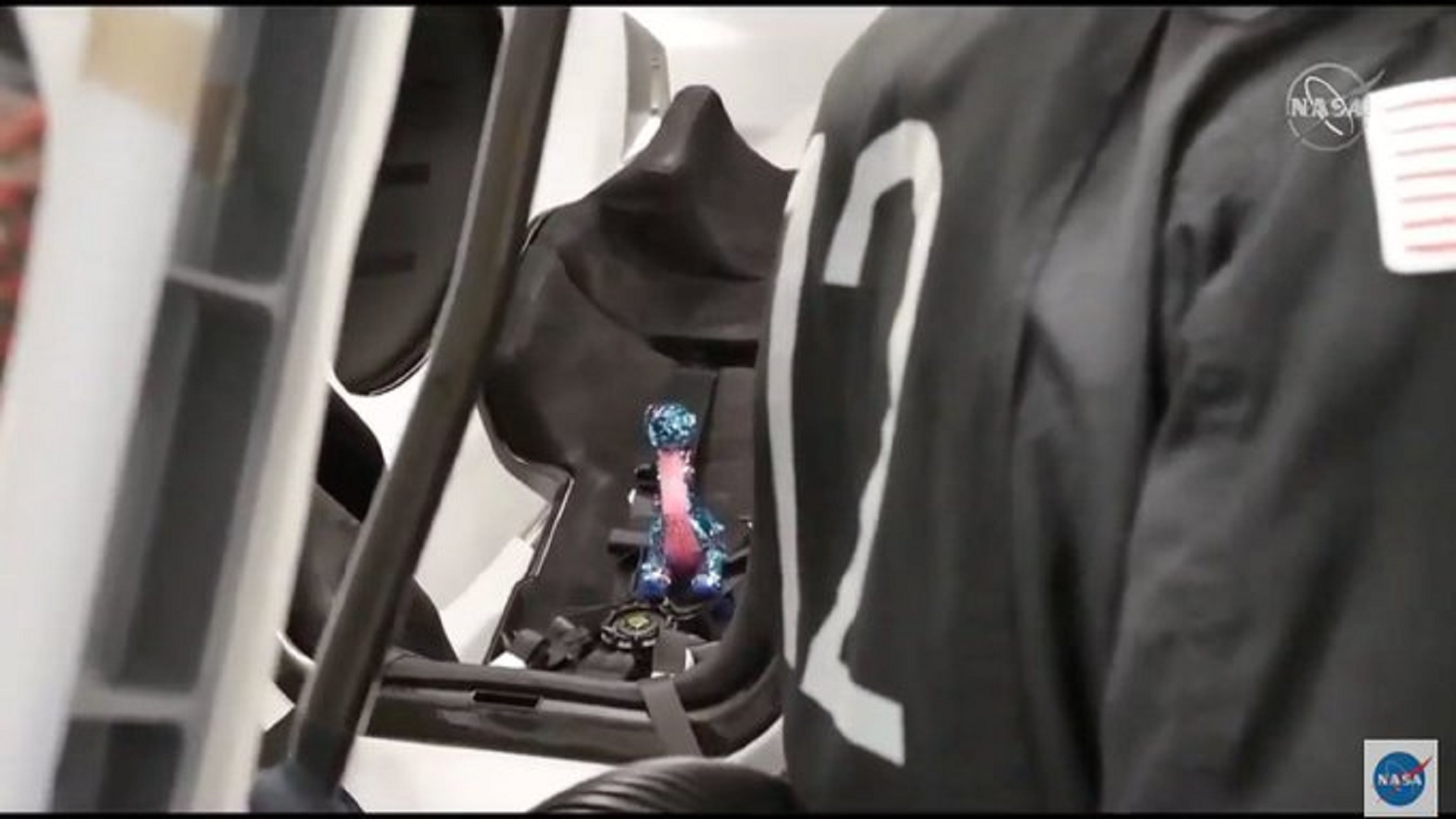La historia del dinosaurio de peluche que vimos en la misión de SpaceX La historia del dinosaurio de peluche que vimos en la misión de SpaceX