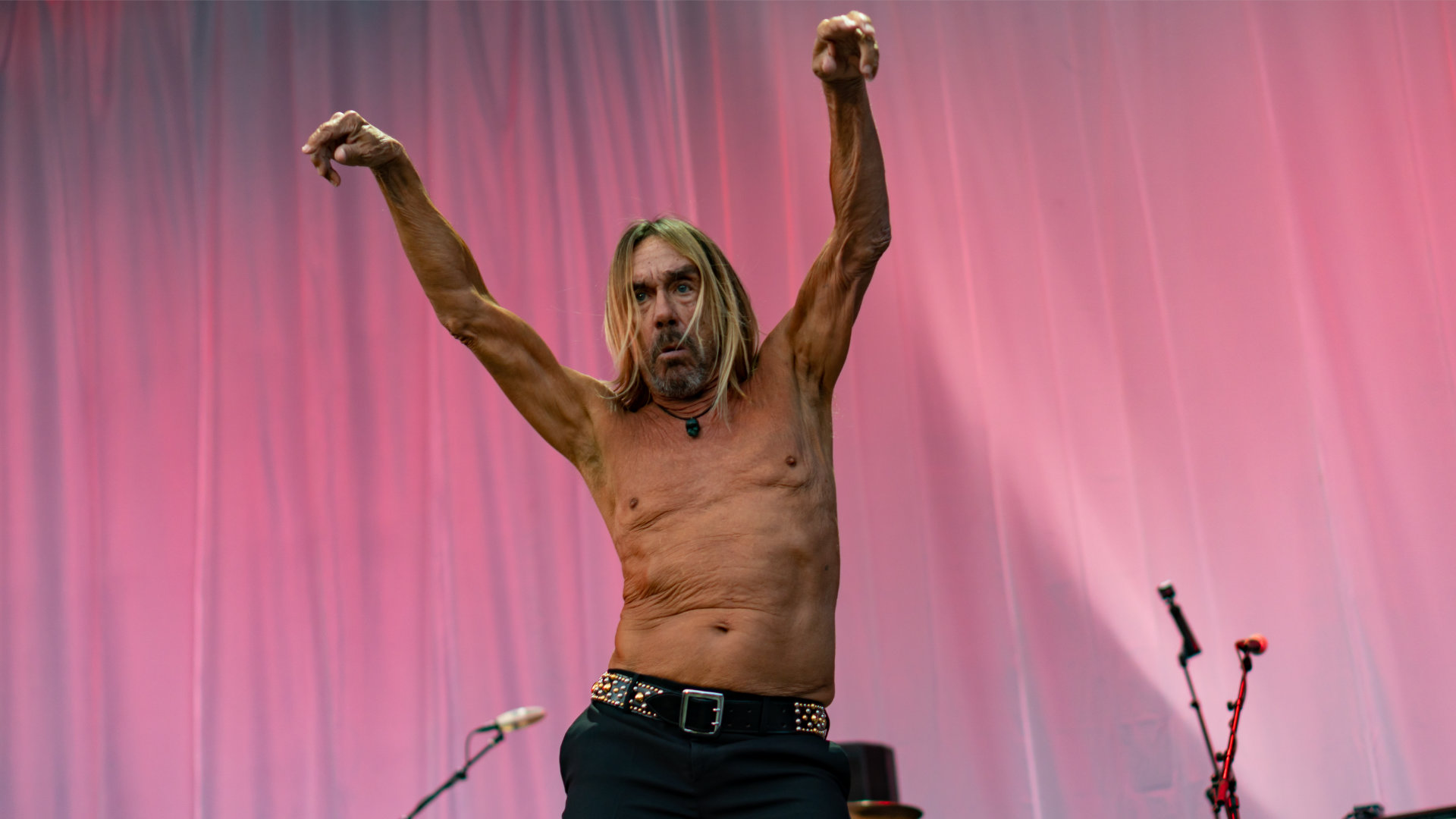 Escuche a Iggy Pop despidiendo a su perrito Trombo en el proyecto "BEDTIME STORIES"