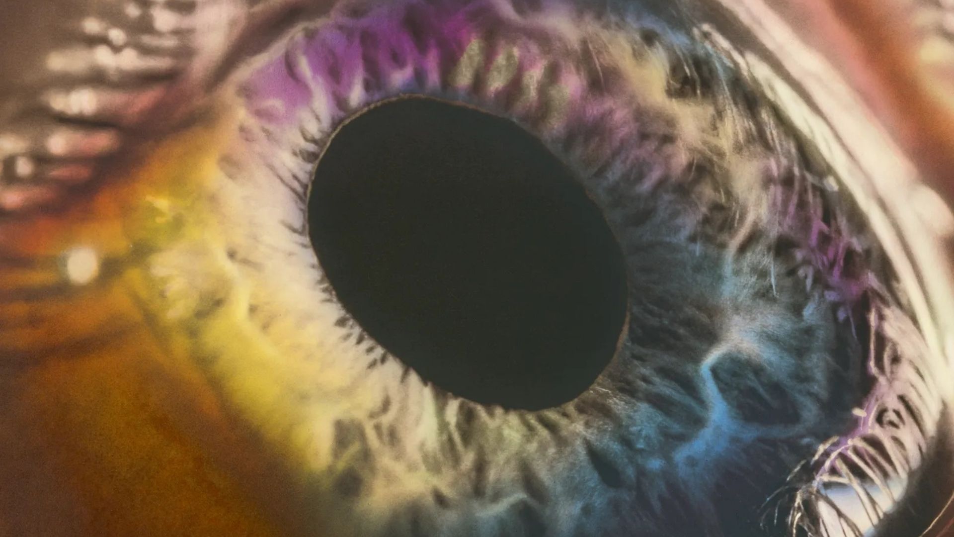 Arcade Fire presenta su sexto álbum de estudio Arcade Fire presenta su sexto álbum de estudio