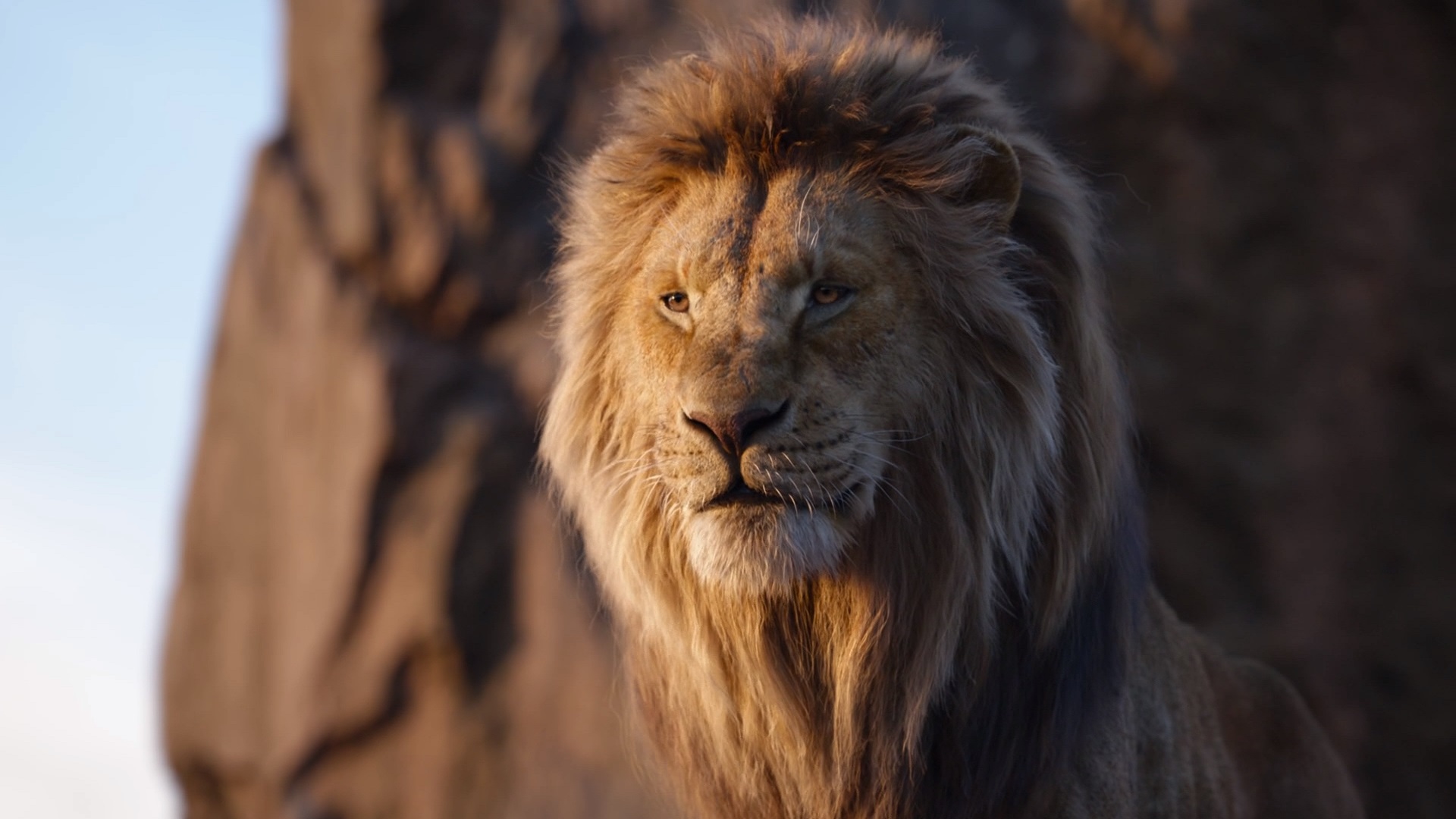 'Mufasa: El Rey León', ya tiene trailer 'Mufasa: El Rey León', ya tiene trailer
