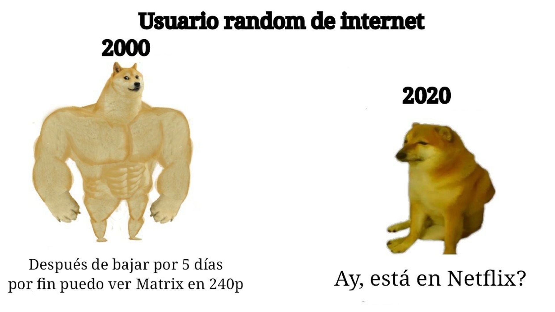 Ya sabemos de dónde salió el meme del perro