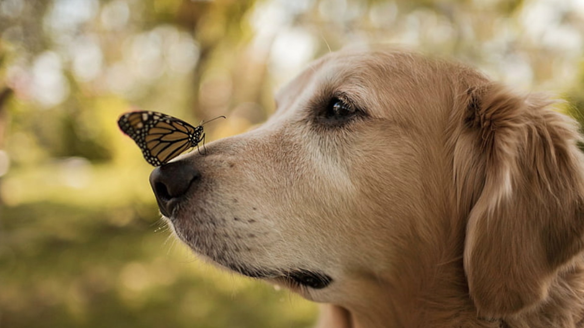 #MañanasX: Señales que demuestran que una persona es verdaderamente feliz