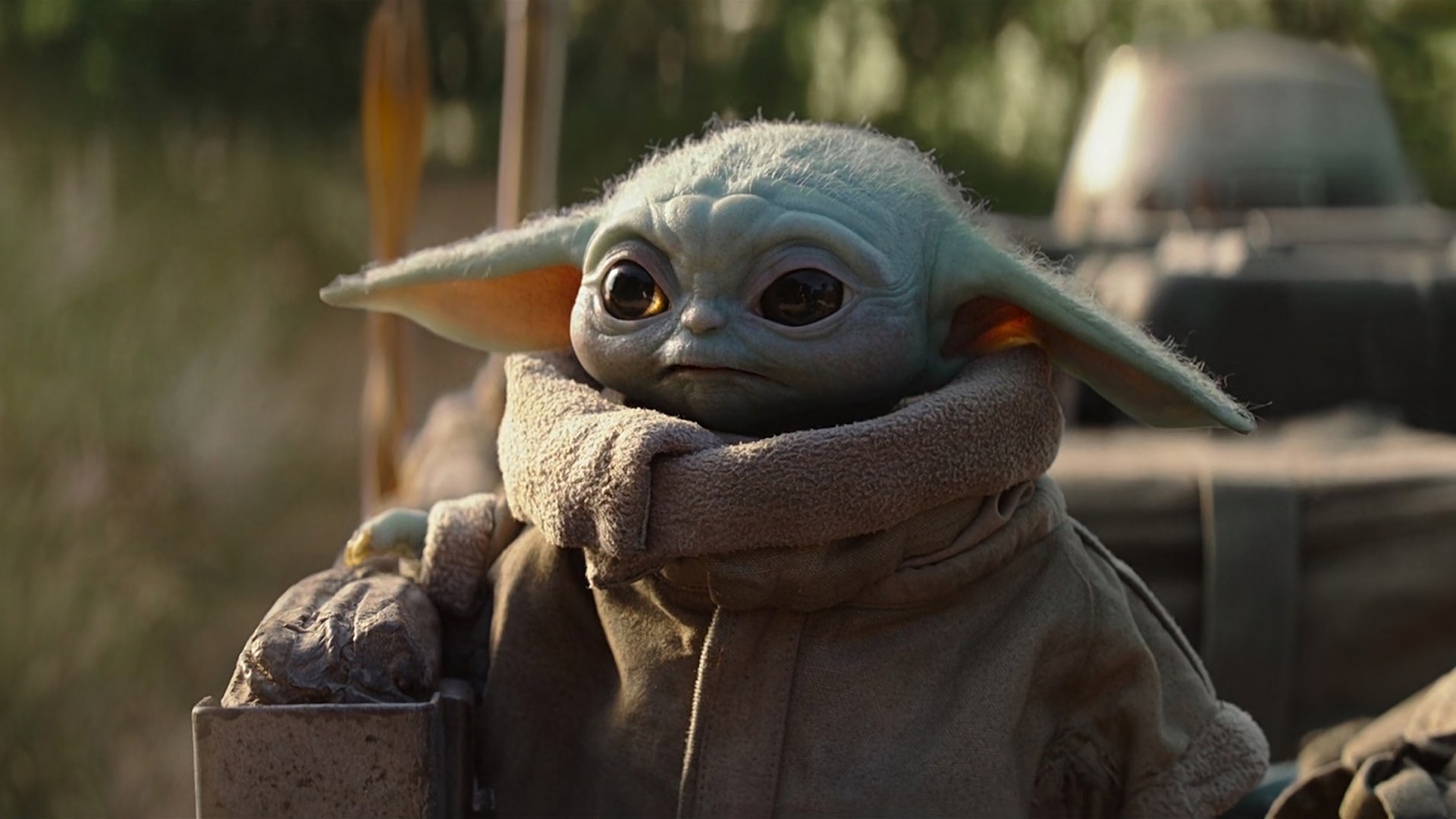 Baby Yoda está en el espacio Baby Yoda está en el espacio