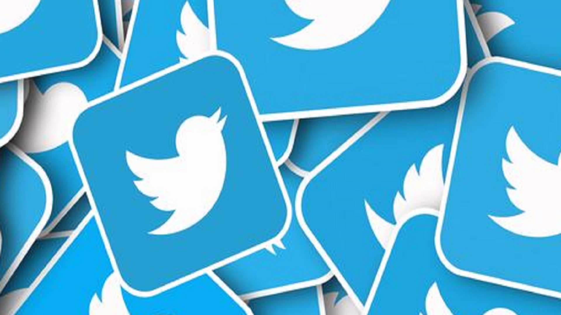 Twitter muestra como desactivar los retweets de otros. Twitter muestra como desactivar los retweets de otros.