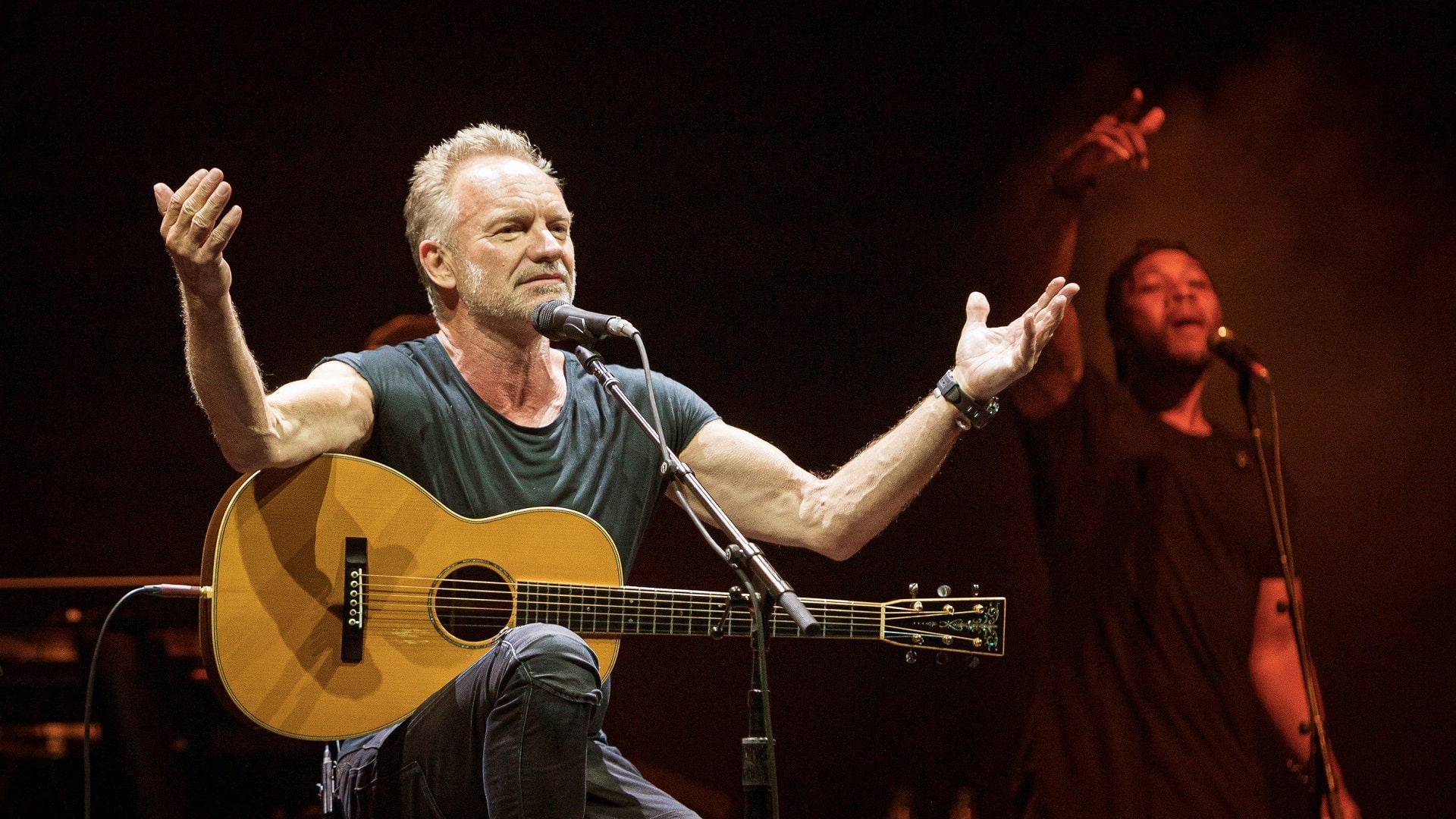 Sting anuncia álbum para navidad